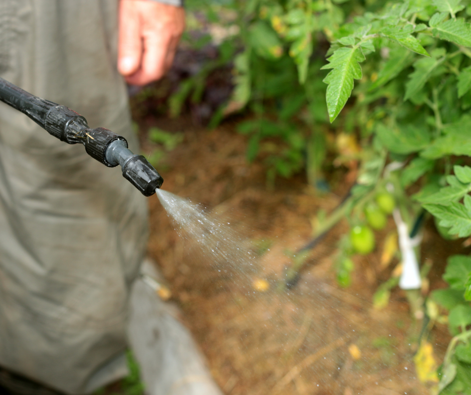 When is It Time to Spray for Mosquitoes?